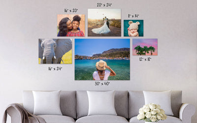 Wall Canvas Dinosaurs Named Painting Without Frame for Kids Room Decoration