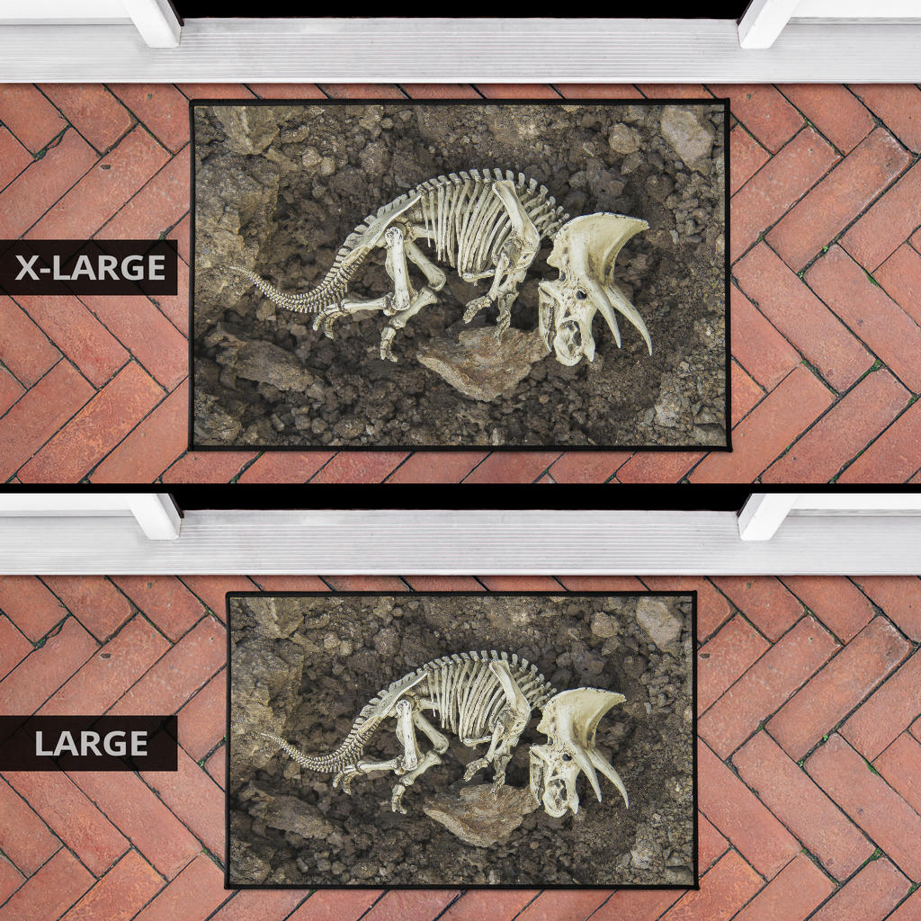 Dinosaur Fossil Rugs