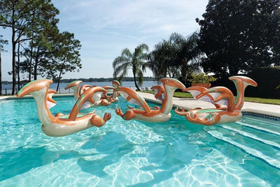 Inflatable Pterodactyl Pool Float